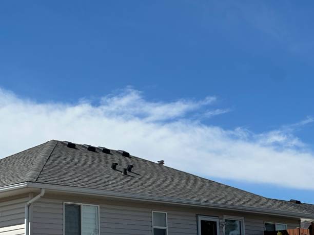Best Skylight Installation and Repair  in Altamont, KS
